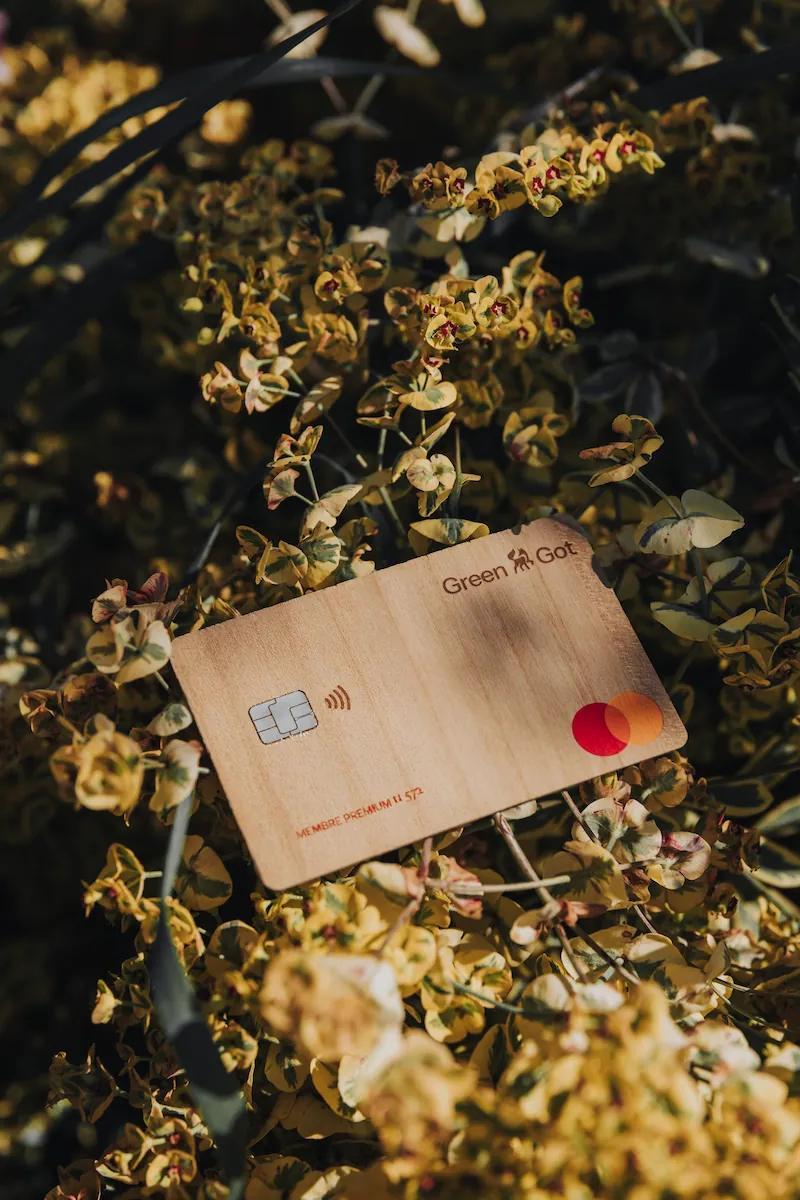 Carte posée sur des branches